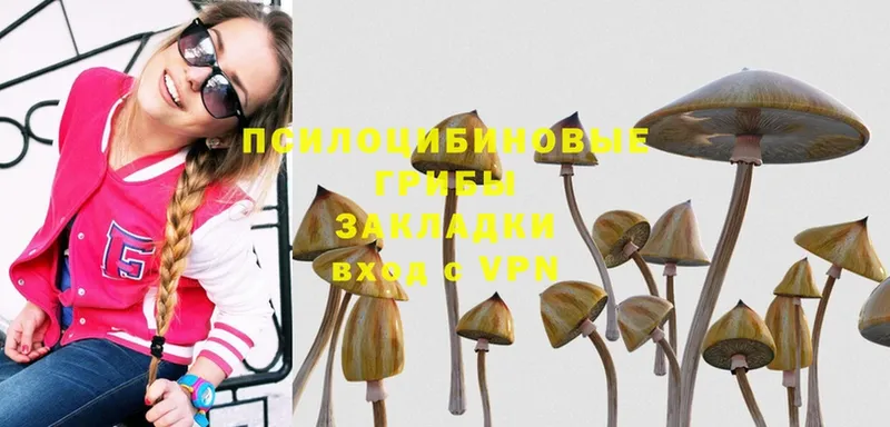 Галлюциногенные грибы MAGIC MUSHROOMS  Верещагино 